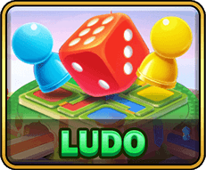 LUDO game cover